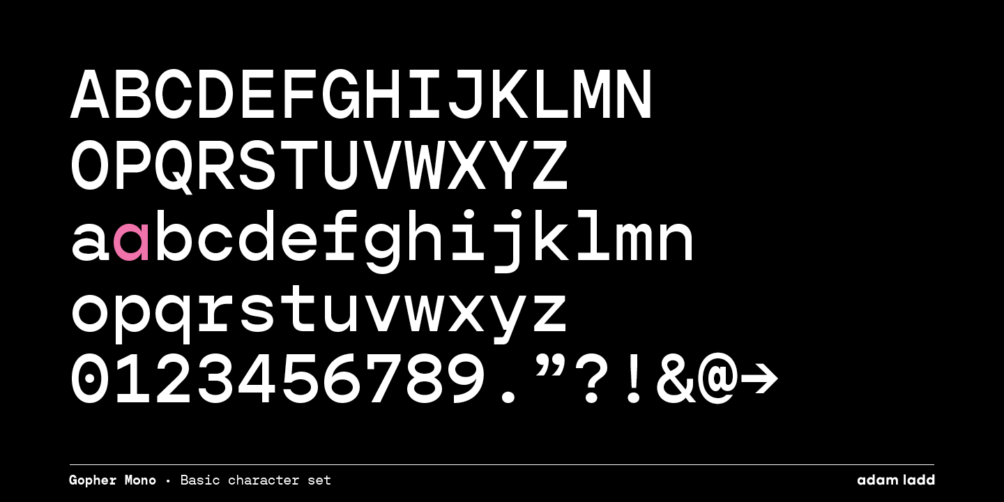 Gopher Mono Light Italic Font preview